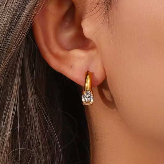 Winter Luxe Hoop Earrings