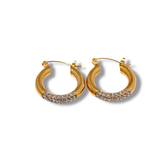 Bling Earrings