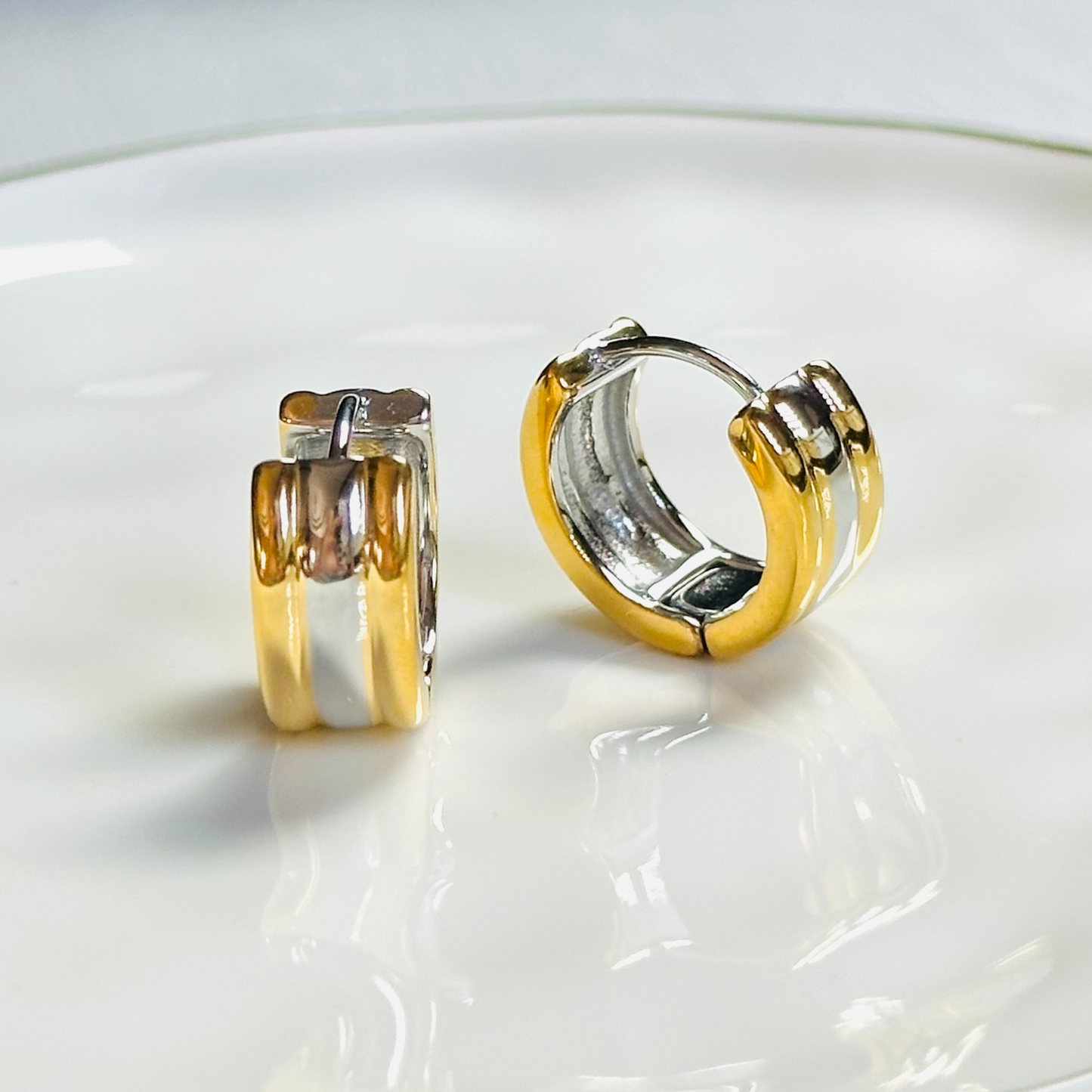 Lined Bicolor Earrings